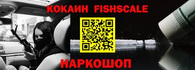 шишки Камышлов