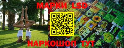 шишки Камышлов
