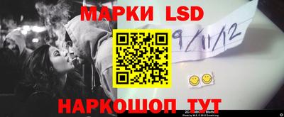 шишки Камышлов