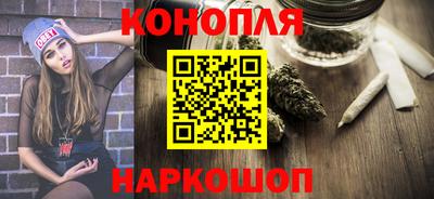 шишки Камышлов