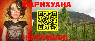 шишки Камышлов