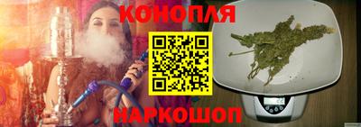 шишки Камышлов