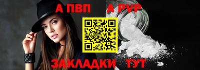 шишки Камышлов