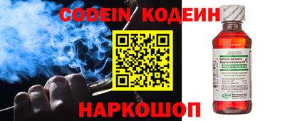 шишки Камышлов