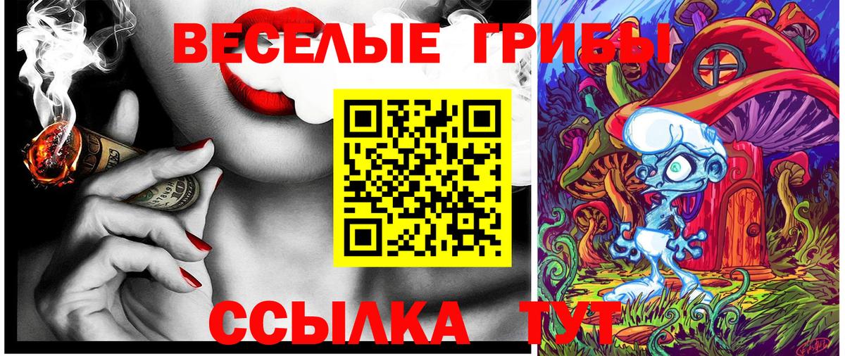 Лабинск  где купить наркоту  Вход с VPN  Псилоцибиновые грибы GOLDEN TEACHER 